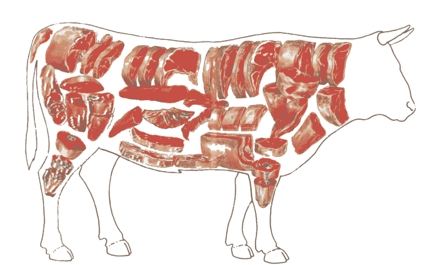 Biohof Seegers Jungbullenfleisch vom Angusrind Biohof Seegers Jungbullenfleisch vom Angusrind